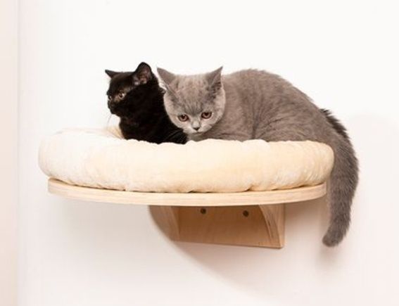 Legowiska ścienne dla kotów - 3 szt.