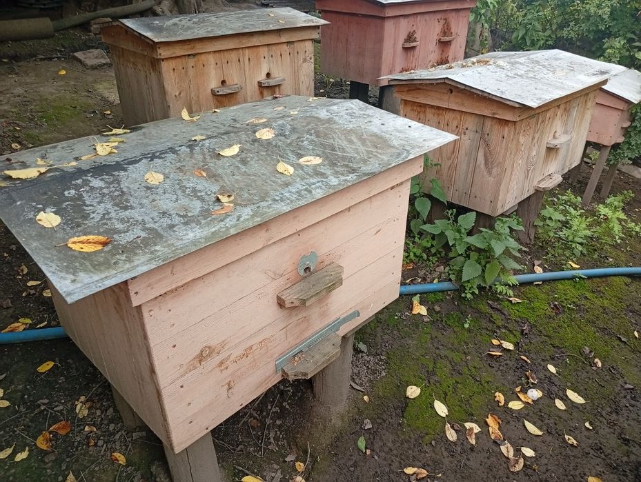 Продам вулики нові