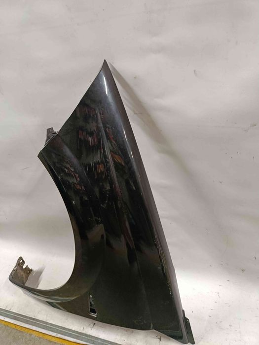 Guarda-lamas esquerdo RENAULT Megane II CC (EM0/1_)