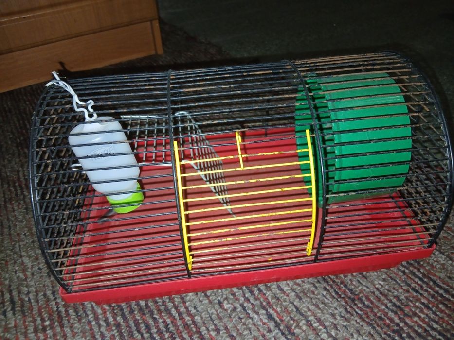 клетки для хомяков и лоток для кота