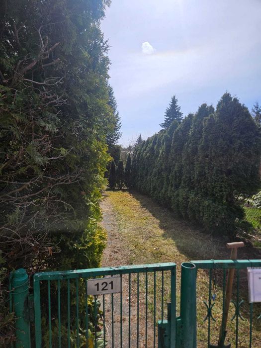 Sprzedam działkę ROD 300m w Chotomowie
