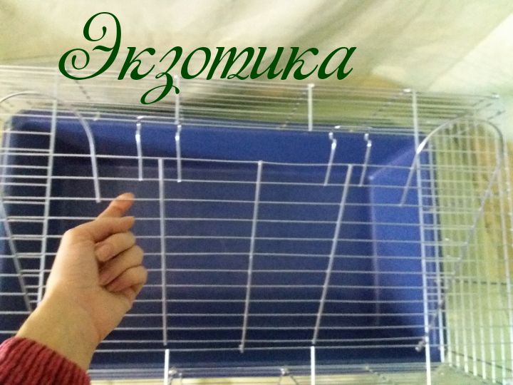 Клетка для животных Кролик Гранд 90 см, оцинкованная