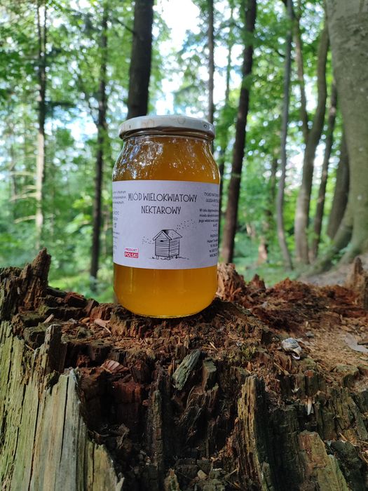 Miód wielokwiatowy z dodatkiem owoców