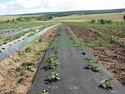 Агроволокно Агроткань Польша, Украина. Геотекстиль, Спанбонд