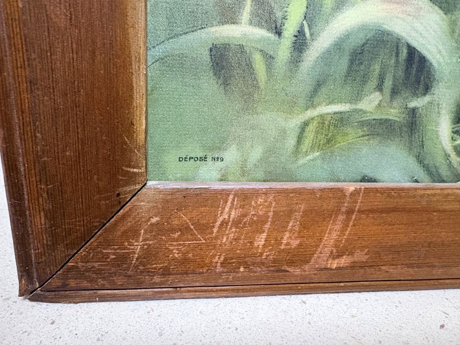 Grande antigo quadro com litografia sobre cartão motivo peixes / pesca
