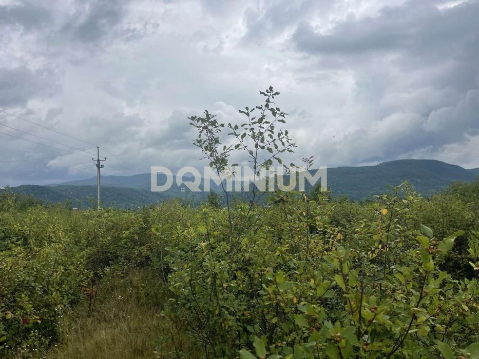 Продається земельна ділянка в м.Хуст