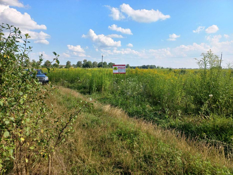 Підлісся, 20 соток з великим фасадом на житловій вулиці