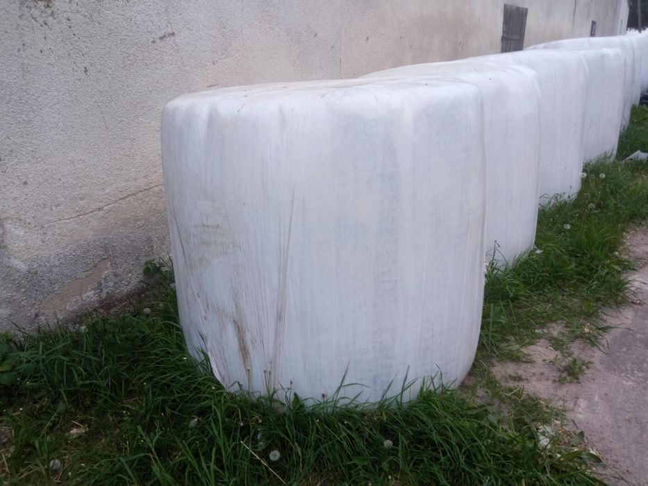 Sianokiszonka 130 cm,  20 sztuk