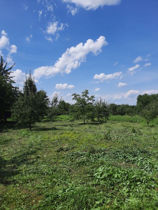 Продам будинок в с. Бахматівці