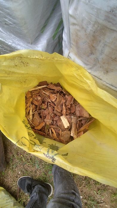Sprzedam korę sosnową 60 l
