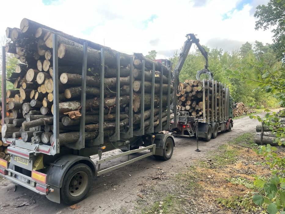 Drewno grab dąb brzoza czeresnia sosna w metrach metry . Kłoda
