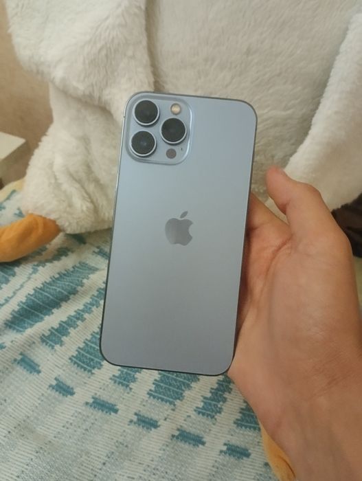 iPhone 13 pro max