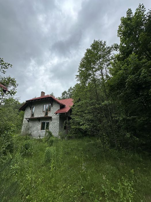Продаж двох котеджів (або один) недалеко від Шацьку