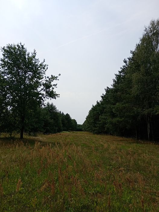 Dzialka budowlana