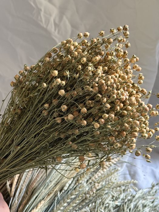 Льон сухоцвіт в наявності