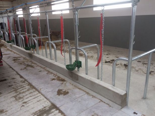 Stanowiska dla bydła krów opasów agrafki drabiny kojce wygrodzenia !!!