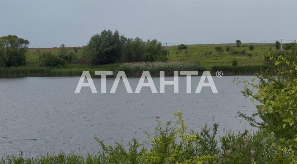 ТЕРМІНОВО! Продаж Ділянки. с . Чижиків, 12.94сот