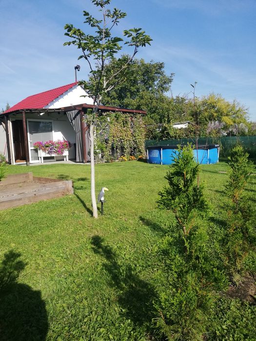 Działka ROD o powierzchni 313m2. Całoroczna