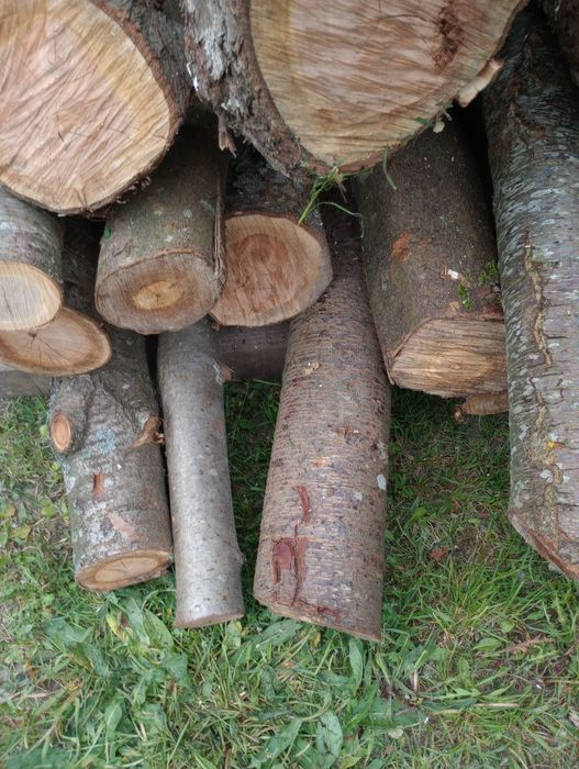 Drewno owocowe do wędzenia.