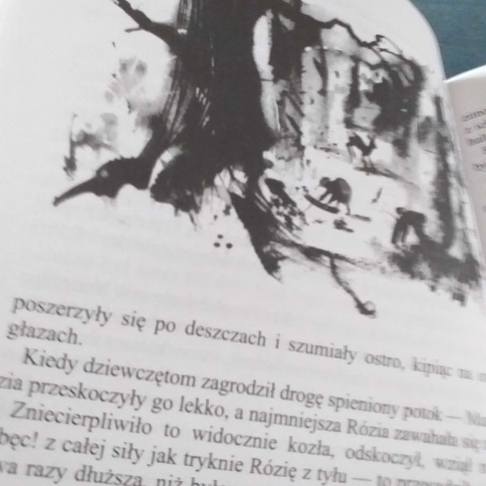 Rogaś z Doliny Roztoki