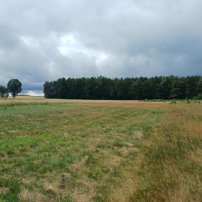 Działka budowlana - Widok 5