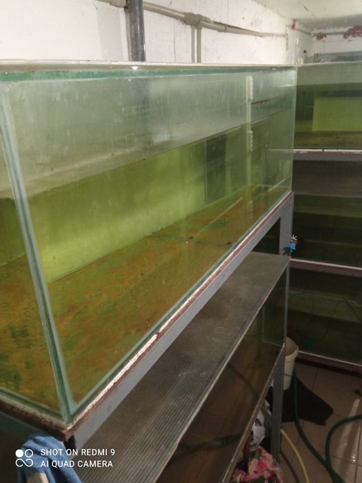 Аквариумы 240 литров , бу..