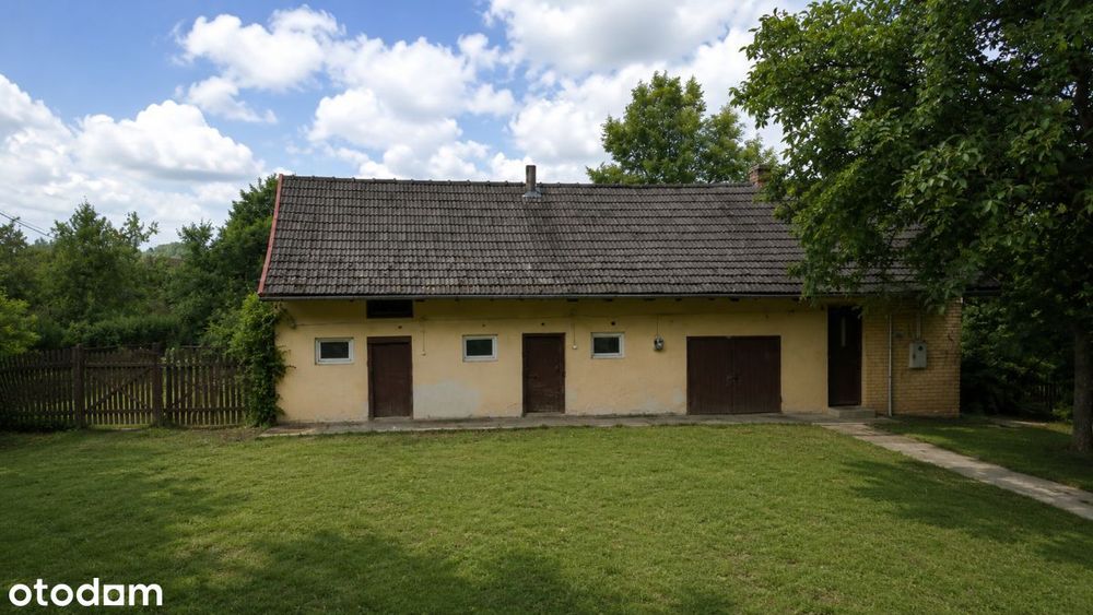 Zdjęcie 8