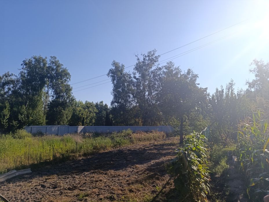 Продаж земельної ділянки в с. Сухолуччя без комісії!
