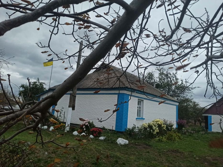 Нерухомість, будинок