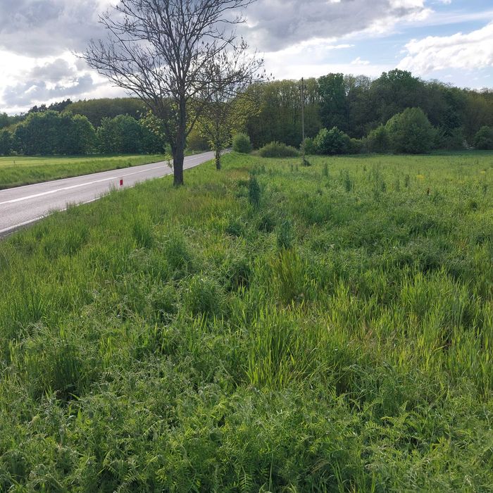Działki budowlane  Radówek