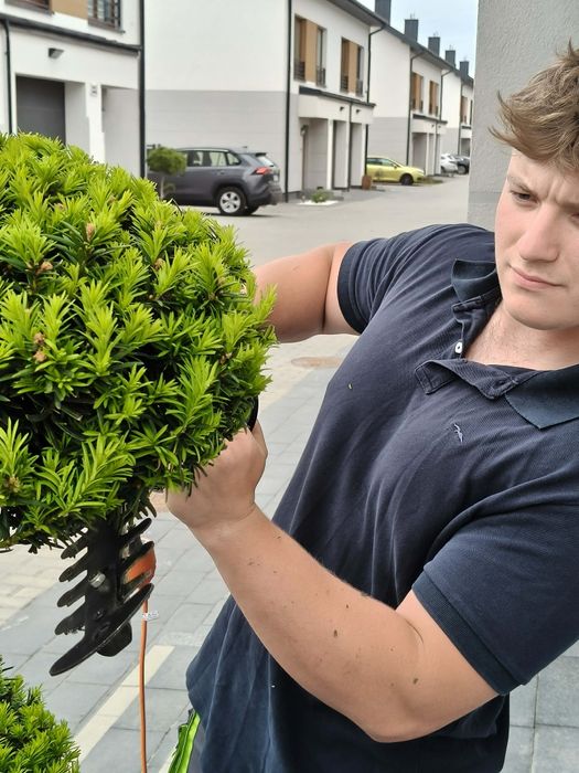 Usługi ogrodnicze ogrodnik (wolne terminy)!!!