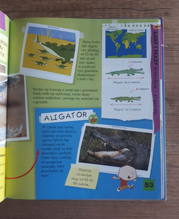 Wielka księga zwierząt