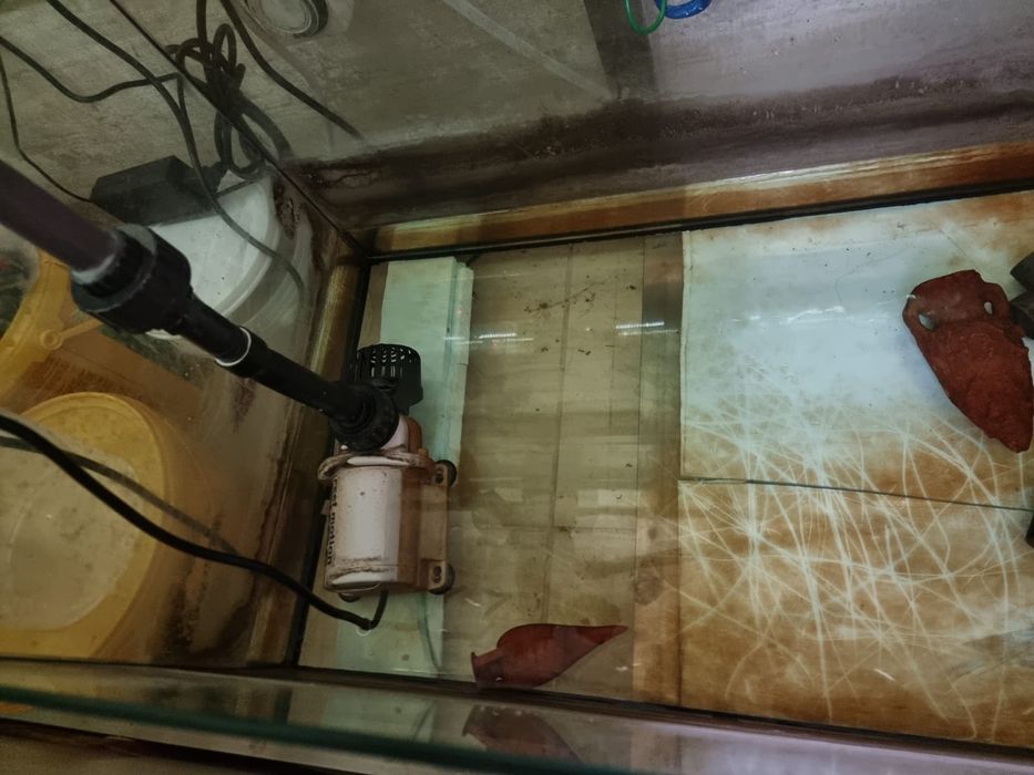 Aquário de 3 metros