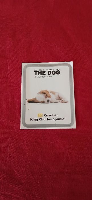 Autocolante The Dog, n° 50