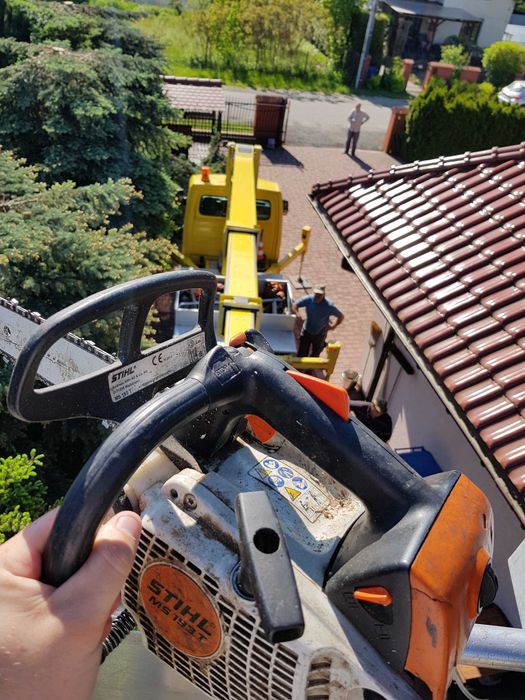 Wycinka drzew,rębak,mulczowanie, podnośnik,czyszczenie działek