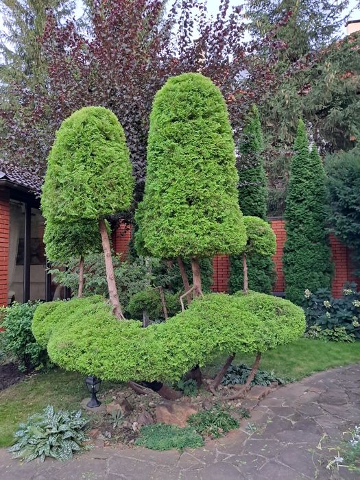 Профессиональная обрезка сада!