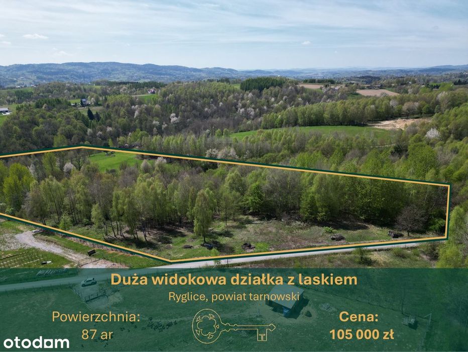 Duża, widokowa działka z lasem i WZ na terenie Pogórza Ciężkowickiego.