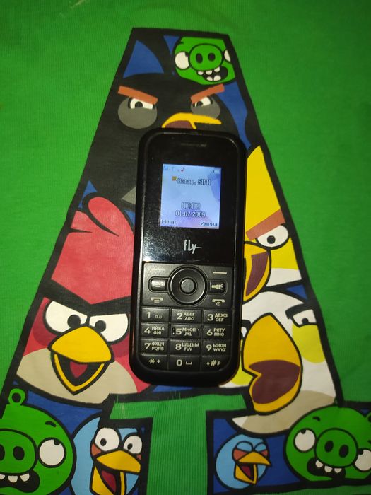 Телефон Fly DS100
