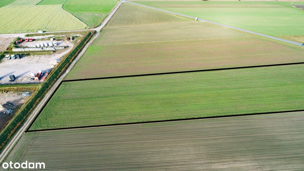 Działka inwestycyjna w Chociwiu - 12 km od S8 - Widok 6