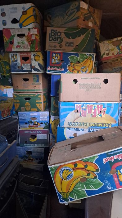 Ящики   бананові
