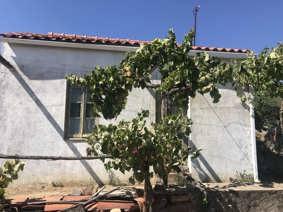 Alugo quintinha rural