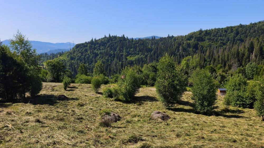 Земельна ділянка