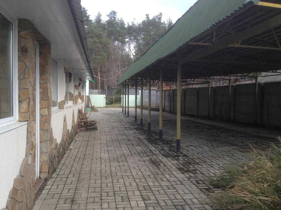 Сдам Дом 280м, капремонт, баня 150м, 6 соток, с.Задонецкое (Змиевское направление, Чугуевский район)