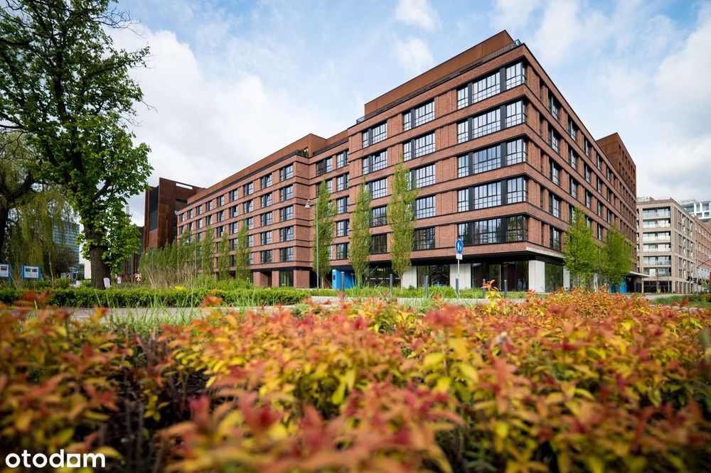 2 pokoje| OD ZARAZ | Pets Friendly >BEZ PROWIZJI< Gdańsk, Śródmieście