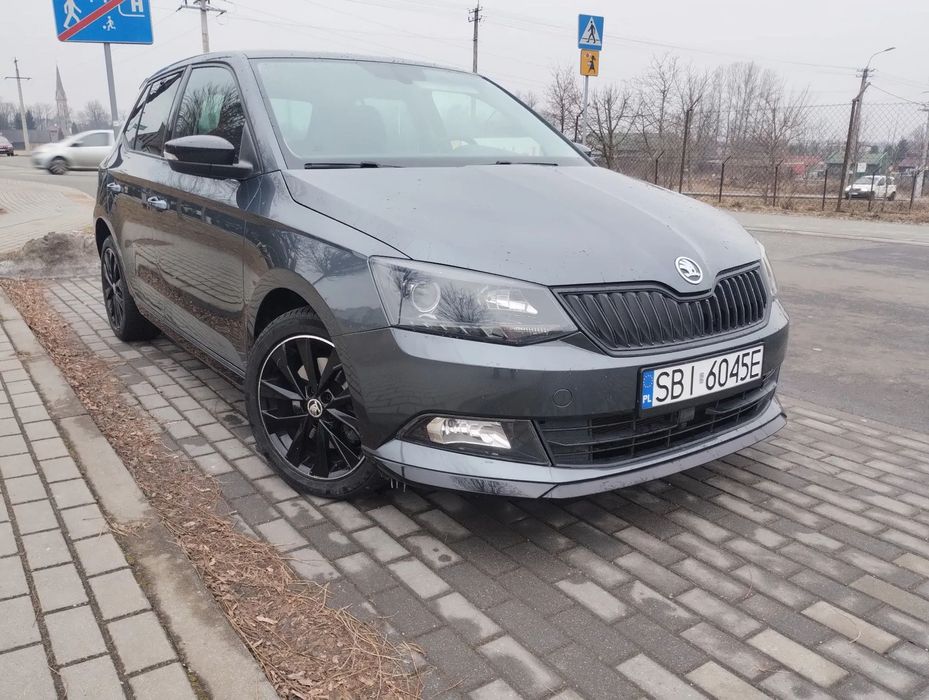 Skoda Fabia dsg panorama monte carlo