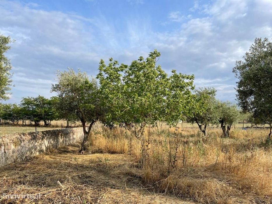 Excelente Terreno em Santa Eulalia/Elvas
