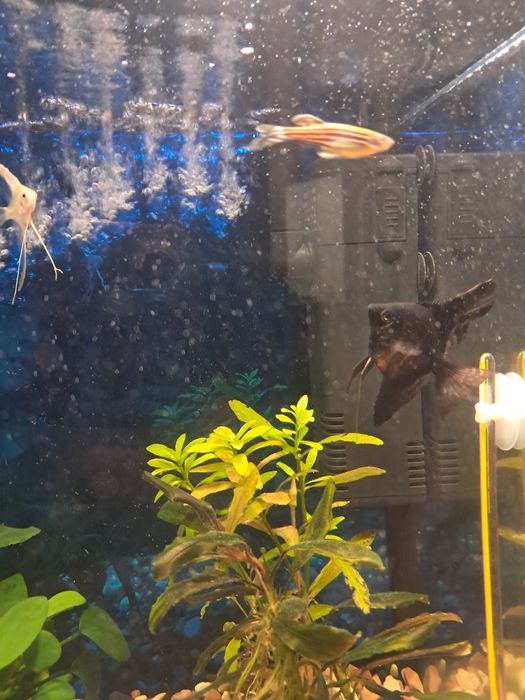 Продаю акваріум)))