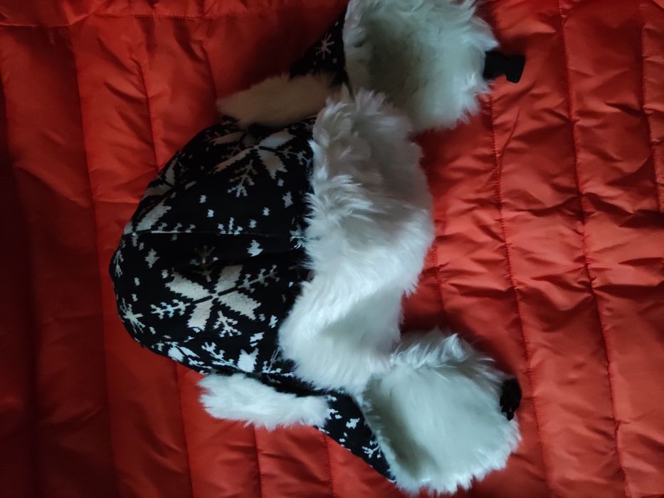 Czapka pilotka nowa