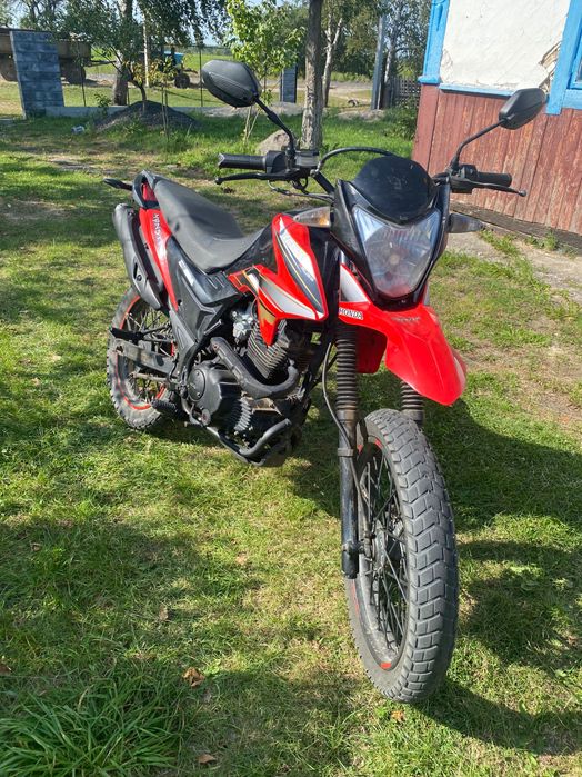 Продам лонсін прус 200