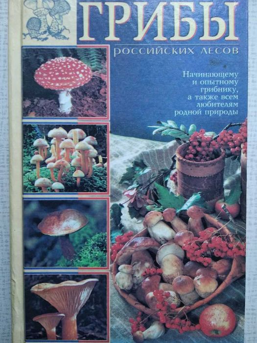 продам книгу Все про грибы
